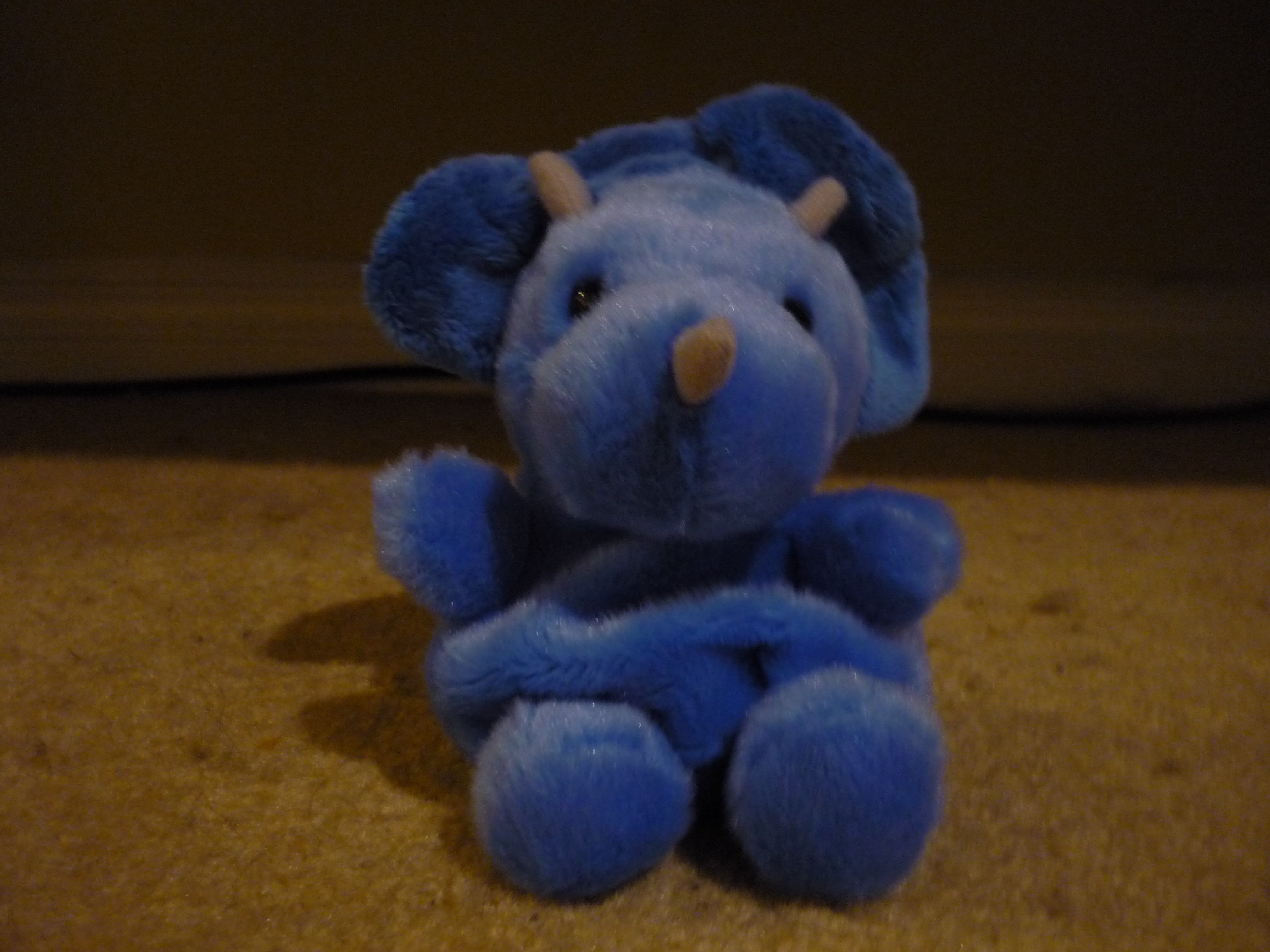 blizard