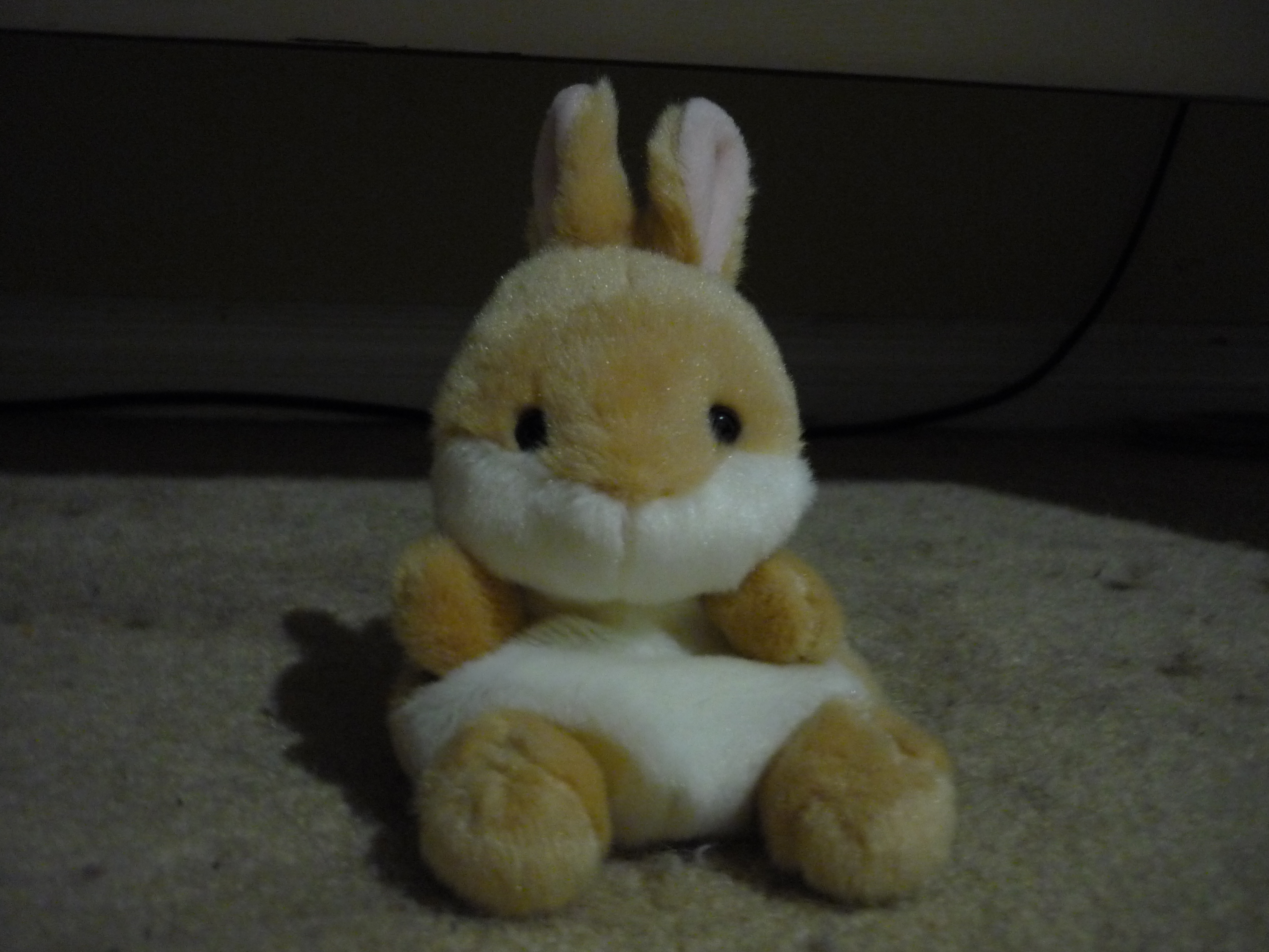 bunny