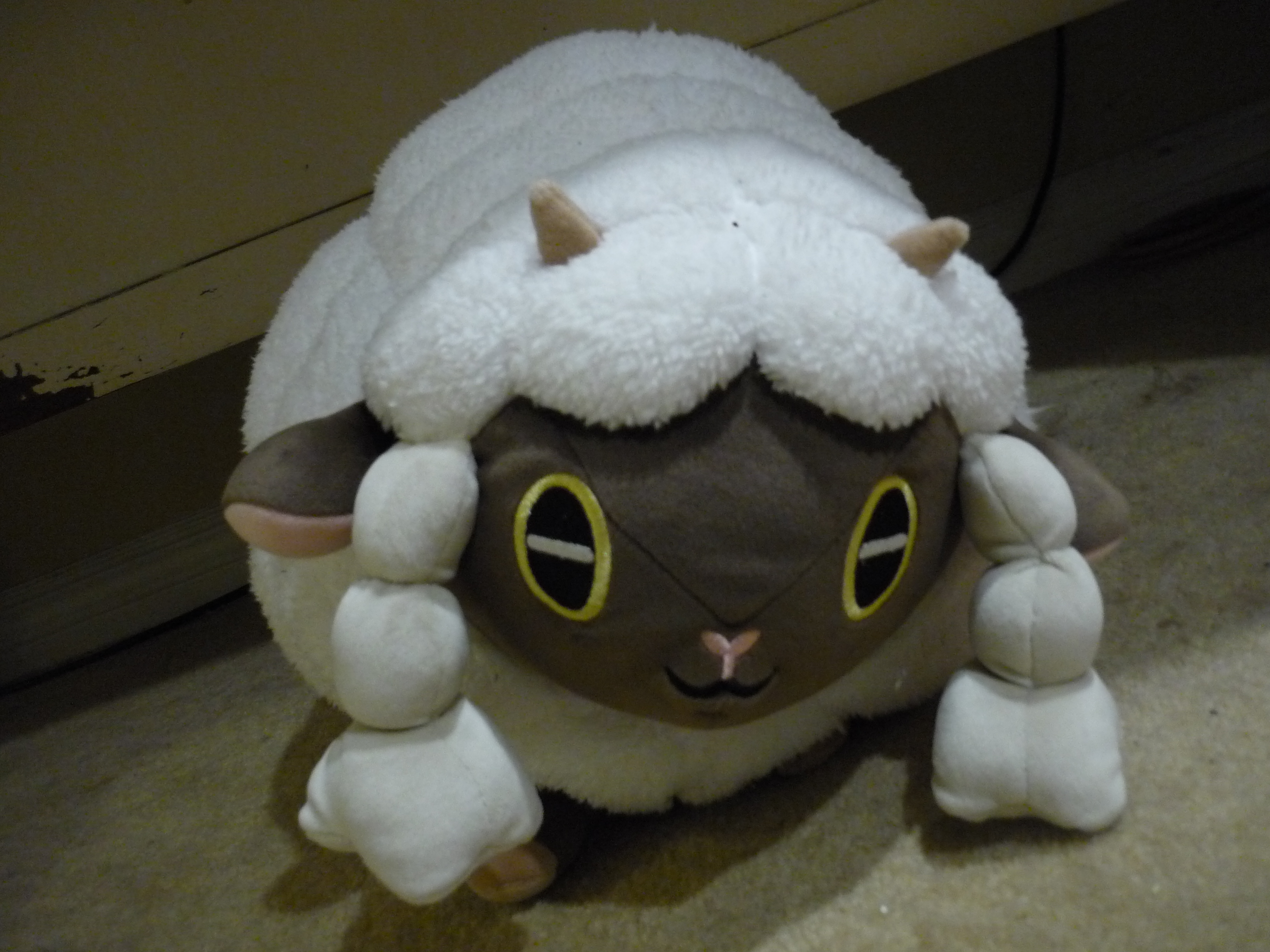 sheep